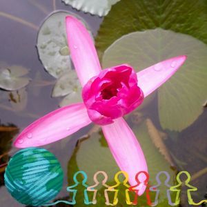 Meet your Posher, Singh